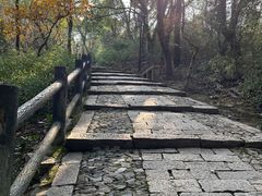-苏州上方山国家森林公园