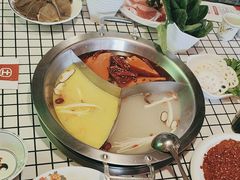 -山悦里 山野·鲜火锅(罗斯福广场店)
