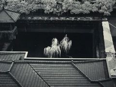 -上海油画雕塑院