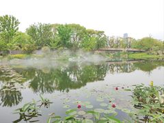 -上海植物园-4号门售票处