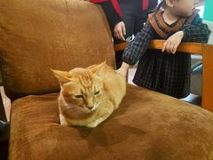 -默迹咖啡馆