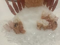 -曲水兰亭·兰亭·宴(上海虹桥店)