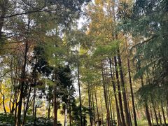 -苏州河梦清园环保主题公园