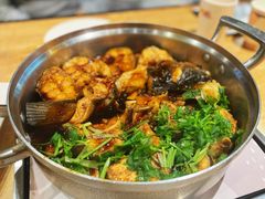-黄记煌三汁焖锅(民乐园万达店)