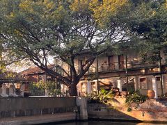 -喜洲吧·江畔老船厂·庭院餐厅(喜临院店)