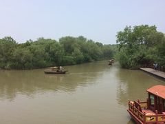 -溱湖国家湿地公园