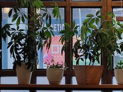 -Cafe Alice咖啡爱丽丝(奥城店)