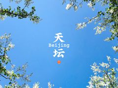 -天坛公园