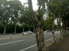 -情侣路