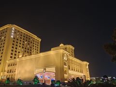 -上海白金汉爵大酒店(大零号湾国际会议中心店)