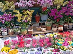 -梅陇花鸟市场-停车场