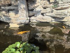 -南通中心濠河风景区圆融广场诺富特酒店