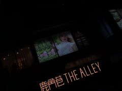 -THE ALLEY 鹿角巷(华润万象城店)