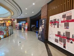 -SFC上影百联影城(川沙IMAX店)