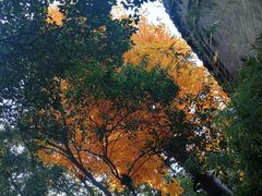 -西安市广仁寺
