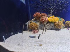 -广州海洋馆