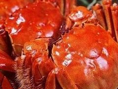 大闸蟹-新光酒家·河豚·海鲜·蟹料理(浦东店)