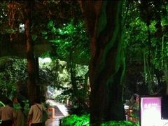 -横店影视城梦幻谷园区