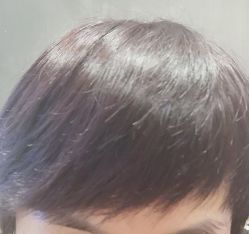 -付军剪艺