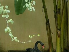 android_upload_pic-园林格兰云天大酒店-太极名厨中餐厅