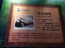 -未来动物城动物主题公园(大悦城店)