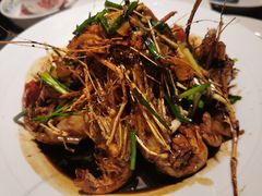 -老头儿油爆虾(星光一期店)