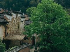 -杨家堂村