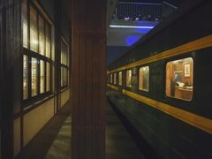 -锦江乐园舞狸花花游园会(夜场专享)