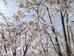 -龙美术馆(西岸馆)