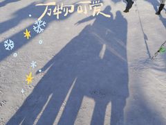 -沈阳奥体冰雪嘉年华