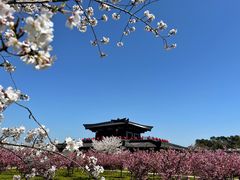 -三国水浒景区(无锡影视基地)