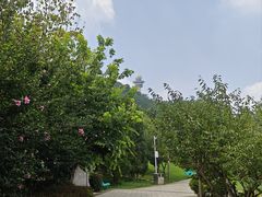 -大连植物园
