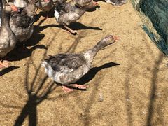 -亿利库布其七星湖沙漠生态旅游区