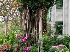 -人民公园(罗湖区)