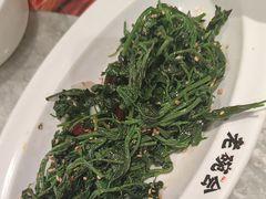 -老碗会·陕西手工面(中心书城店)