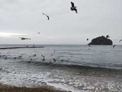 -棒棰岛宾馆景区