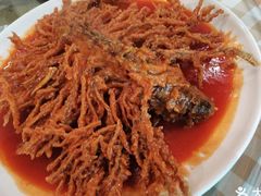 金毛狮子鱼-石门一味酒家(塔谈店)