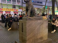 -涩谷区