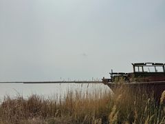 -哈素海