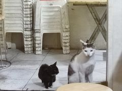 -胡仁根胡记炸炸炸