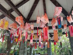 -广州市白云山风景名胜区