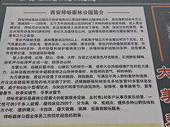 -西安祥峪森林公园