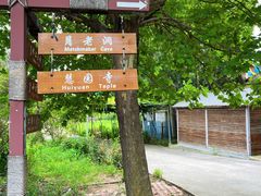 -淄博花灯齐彩城