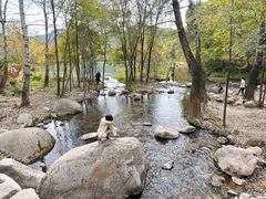 -玉渡山自然风景区