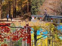 -莫干山风景区