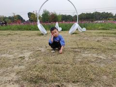 -鹅湖玫瑰文化园