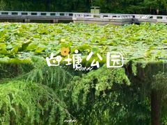 -白塘生态植物园