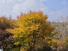 -四明山国家森林公园