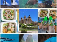 -珠海长隆海洋王国