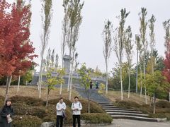 -永定河休闲森林公园